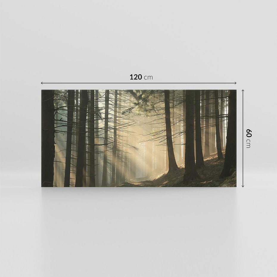 Obraz na płótnie 120x60 - Urok lasu: drzewa w pełnej okazałości - las, drzewa