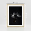Plakat w ramie 30x40 - Delikatność Wiatru - dmuchawce, makro - rama drewno