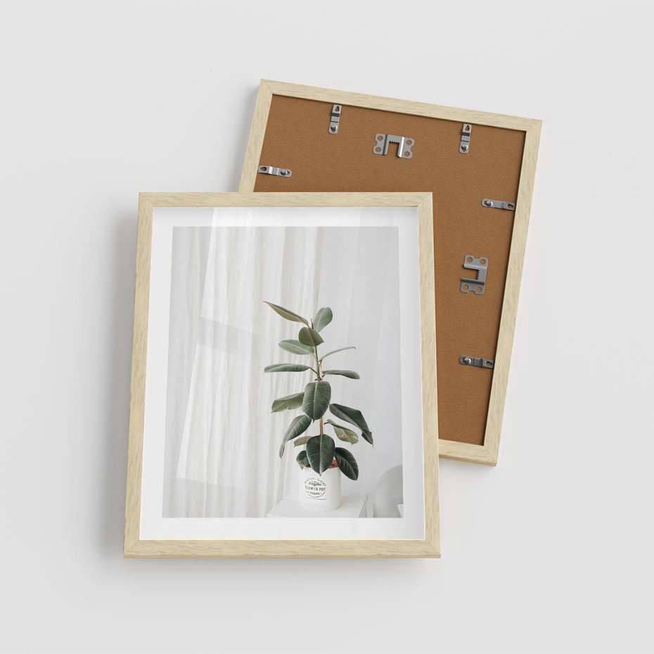 Plakat w ramie 40x50 - Kwiat w Bieli - kwiat w doniczce, białe wnętrze - rama drewno