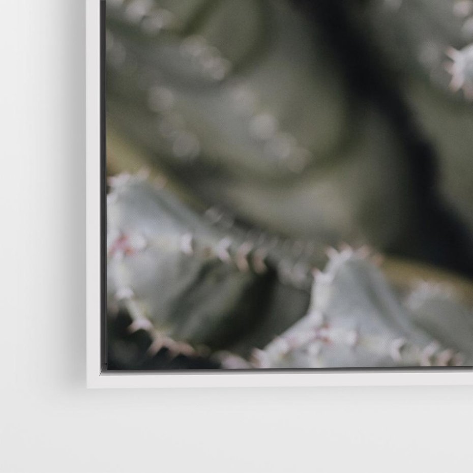 Obraz w ramie 120x80 - Boho kaktusy na pustyni - kaktusy, pustynia - rama biała