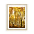 Plakat w ramie 40x50 - Jesienny Las - Kolorowa Paleta Natury - jesień, drzewa - rama drewno