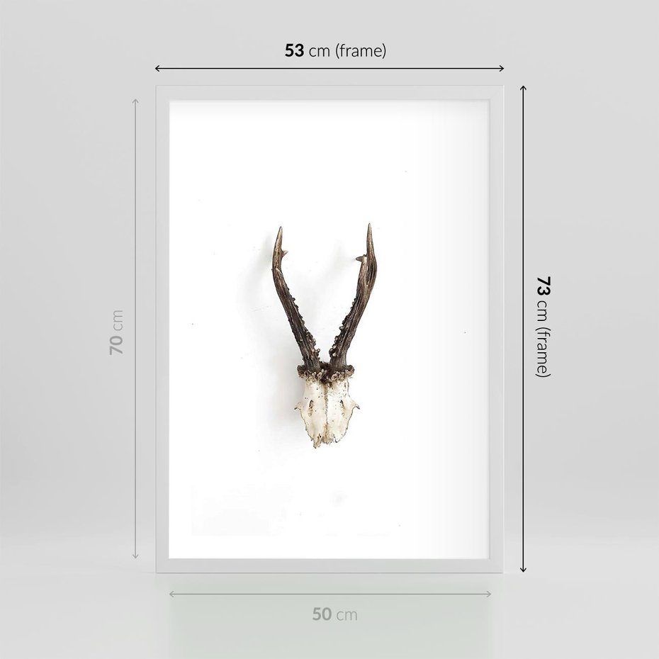 Plakat w ramie 50x70 - Minimalistyczne Poroże Jelenia - poroże jelenia na ścianie, minimalizm - rama biała