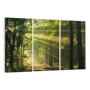 Obraz na płótnie 120x80 - Siła Natury: Las i Drzewa - las, drzewa