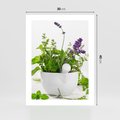 Plakat bez ramy 30x40 - Kwiaty i zioła w restauracji - kwiaty, zioła