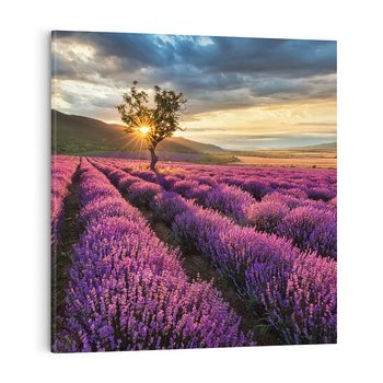 Obraz na płótnie 70x70 - Lawenda: Pachnący ogród natury - lawenda, kwiaty