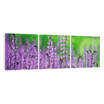 Obraz na płótnie 120x40 - Lawendowy urok - lawenda, kwiaty