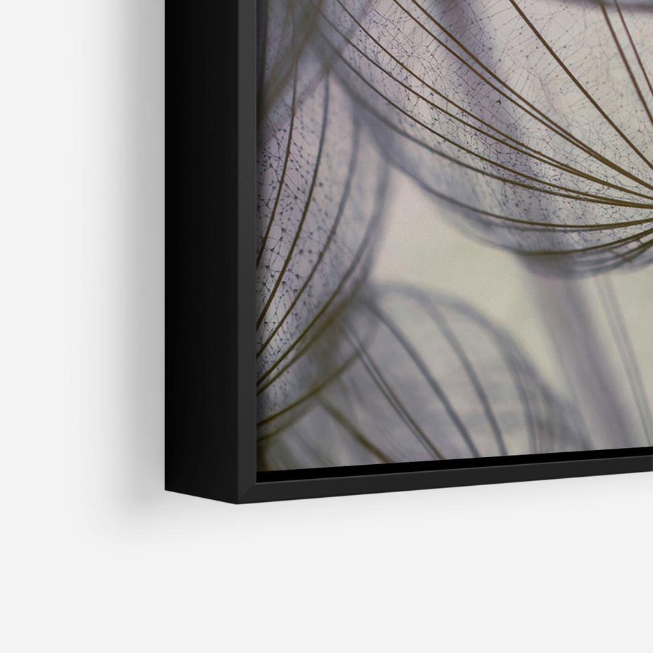 Obraz w ramie 100x70 - Makro dmuchawiec - piękno drobnych detali - dmuchawce, makro - rama czarna