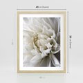 Plakat w ramie 40x50 - Białe Kwiaty Delikatności - białe, kwiaty - rama drewno