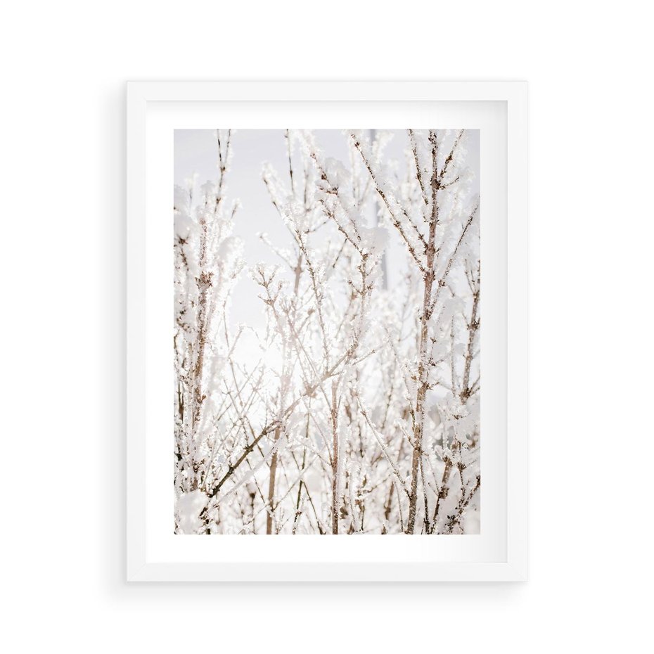 Plakat w ramie 40x50 - Szron na Gałęziach - ośnieżone gałązki, szron na gałęziach - rama biała