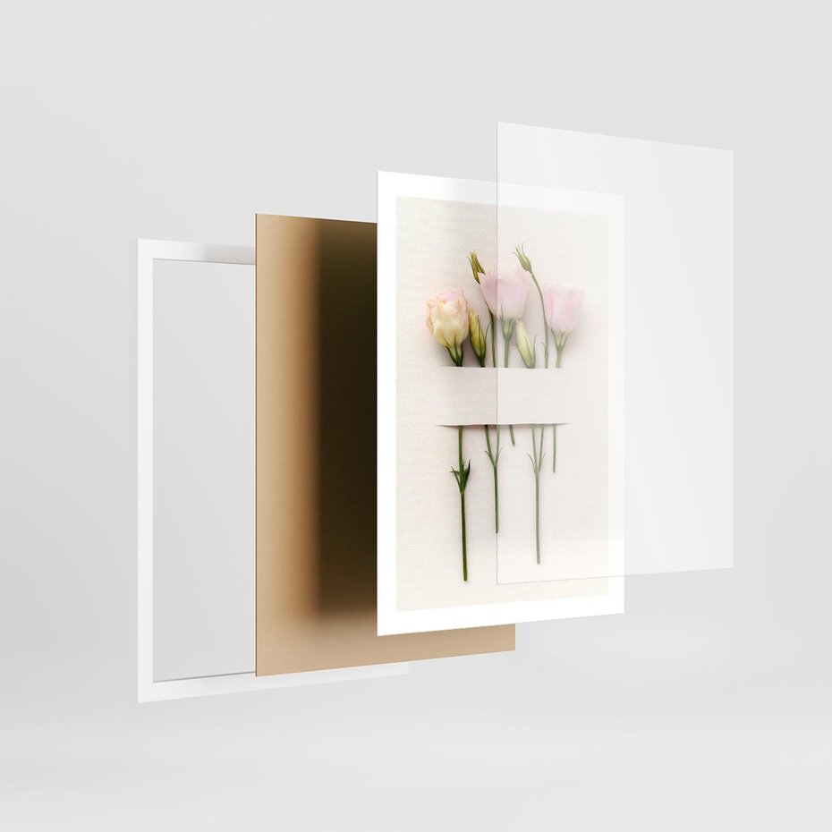 Plakat w ramie 50x70 - Białe kwiatowe uniesienia - białe, kwiaty - rama biała