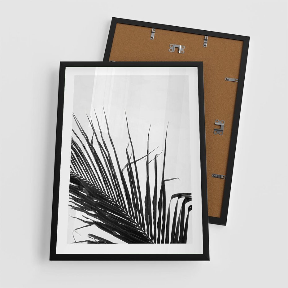 Plakat w ramie 50x70 - Sztuka Natury: Monochromatyczna Palma - palma, czarno białe zdjęcie - rama czarna