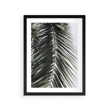 Plakat w ramie 30x40 - Liść Palmy: Egzotyczny Detal Natury - palma, liść palmy - rama czarna