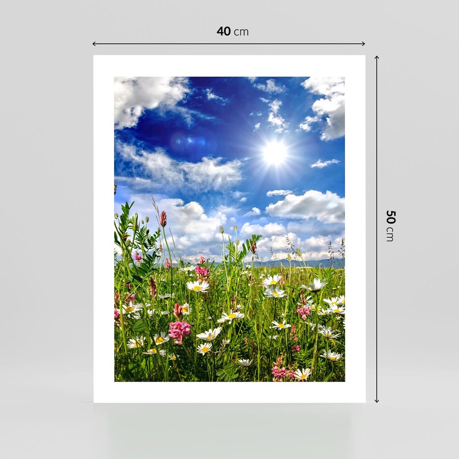 Plakat bez ramy 40x50 - Niebiańska łąka pełna kwiatów - łąka, niebo