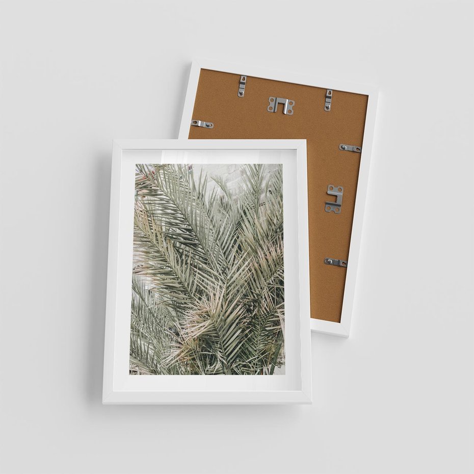 Plakat w ramie 30x40 - Egzotyczny Świat Palm - palmy, liście palmy - rama biała