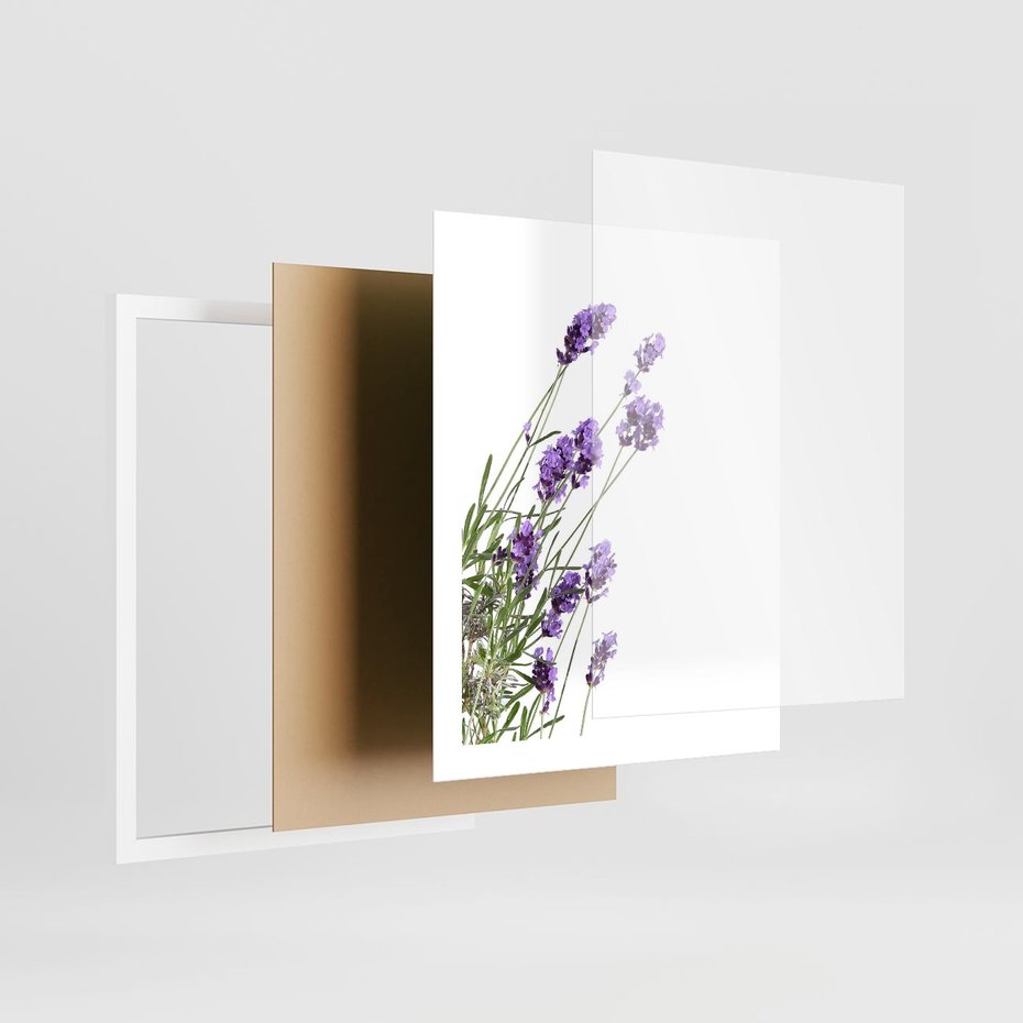 Plakat w ramie 40x50 - Delikatny Urok - lawenda, kwiaty - rama biała