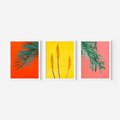 Zestaw obrazy w ramie 50x70 galeria - Rośliny, liście, kolorowe, energetyczne, tło - rama biała
