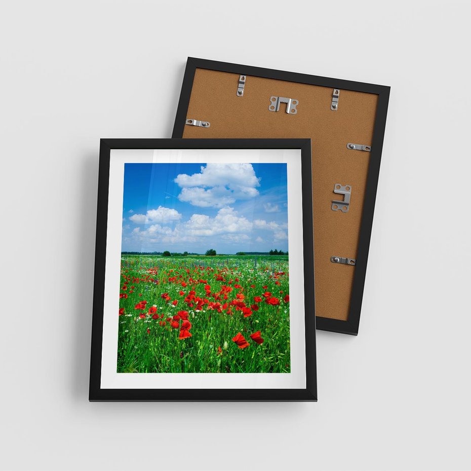 Plakat w ramie 40x50 - Kolorowa łąka pełna maku - łąka, maki - rama czarna