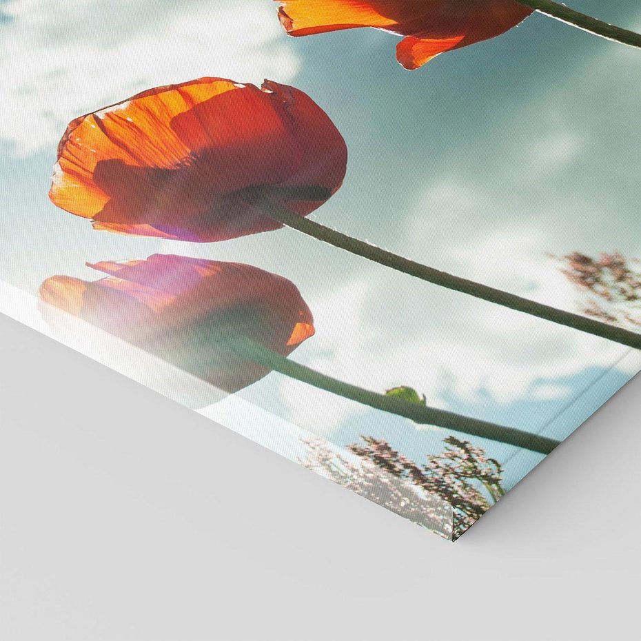 Obraz na płótnie 40x40 - Kwiaty pod niebem: piękno natury - kwiaty, niebo