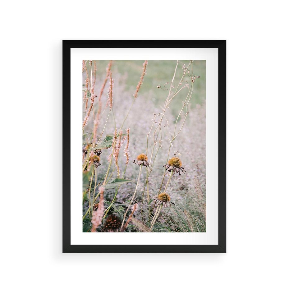 Plakat w ramie 30x40 - Przyroda w Pełnym Blasku: Kolorowa łąka z Kwiatami - łąka, kwiaty na łące - rama czarna
