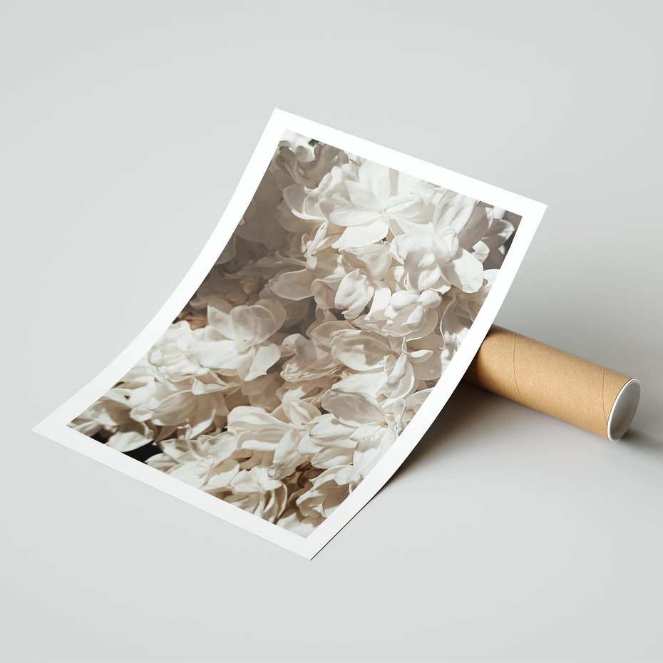 Plakat bez ramy 21x30 - Płatki w Detalu - białe kwiaty, zbliżenie