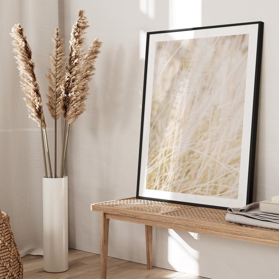 Plakat bez ramy 50x70 - Białe Trawy Pampas - suche trawy, białe trawy