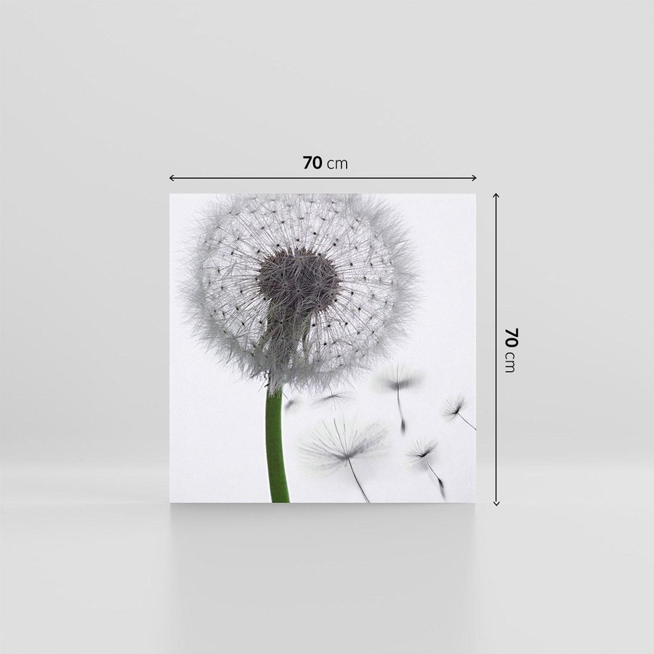 Obraz na płótnie 70x70 - Lekkość Przemijania - dmuchawiec, makro