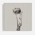 Obraz w ramie 50x50 - Cień Kwiatowej Delikatności - kwiat, cień - rama biała