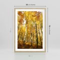 Plakat w ramie 50x70 - Jesienny Las - Kolorowa Paleta Natury - jesień, drzewa - rama drewno