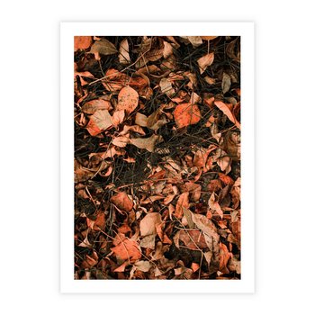 Plakat bez ramy 30x40 - Jesienny Splot: Pomarańczowe Liście - liście, pomarańczowe suche liście