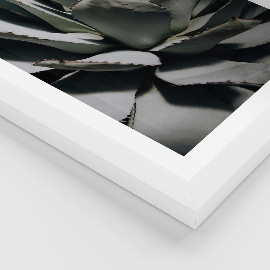 Plakat w ramie 50x70 - Egzotyczny Raj - sukulenty, kaktusy - rama biała