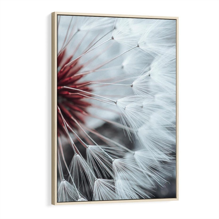 Obraz w ramie 80x120 - Makro świat dmuchawca - dmuchawiec, makro - rama drewno