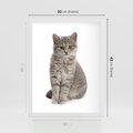 Plakat w ramie 30x40 - Kocie uroki na płótnie - kot, kotek - rama biała