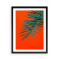 Plakat w ramie 50x70 - Egzotyczny Urok - liście, palma - rama czarna