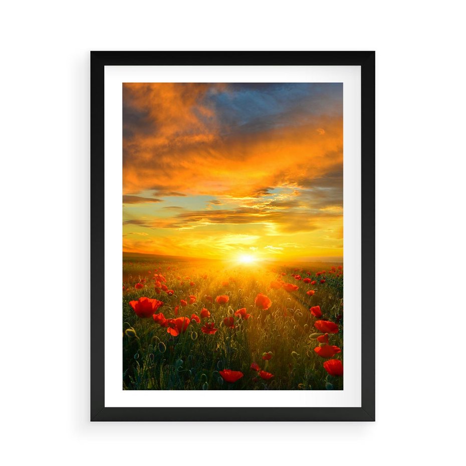 Plakat w ramie 50x70 - Magia zachodu słońca na łące z makami - łąka, zachód słońca - rama czarna