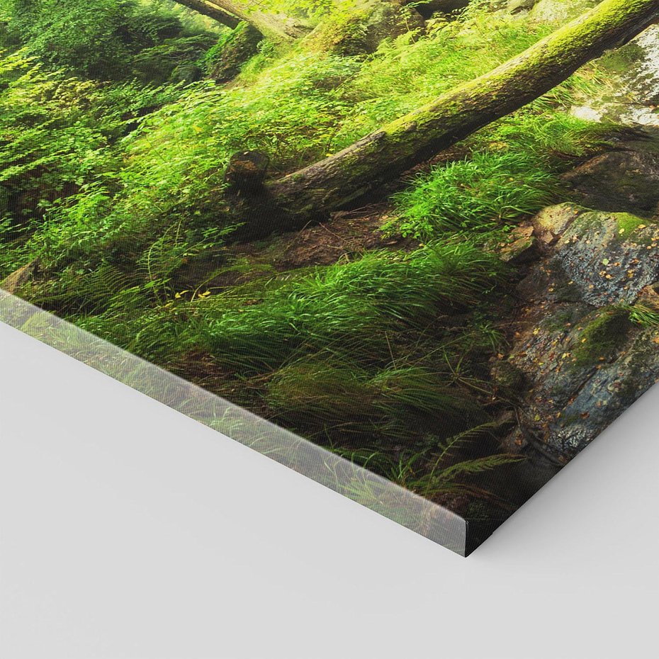 Obraz na płótnie 70x50 - Magiczny Strumień w Lesie - strumień, las