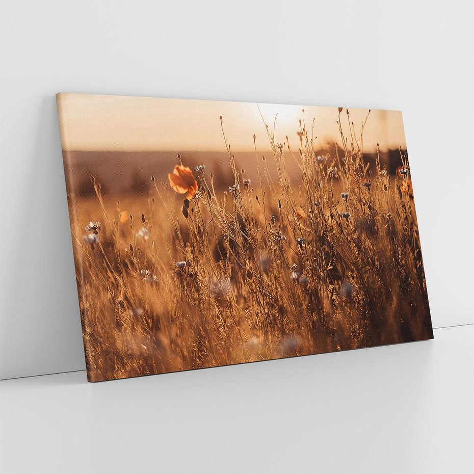 Obraz na płótnie 120x80 - Zachwyt zachodem słońca na łące - zachód, słońca