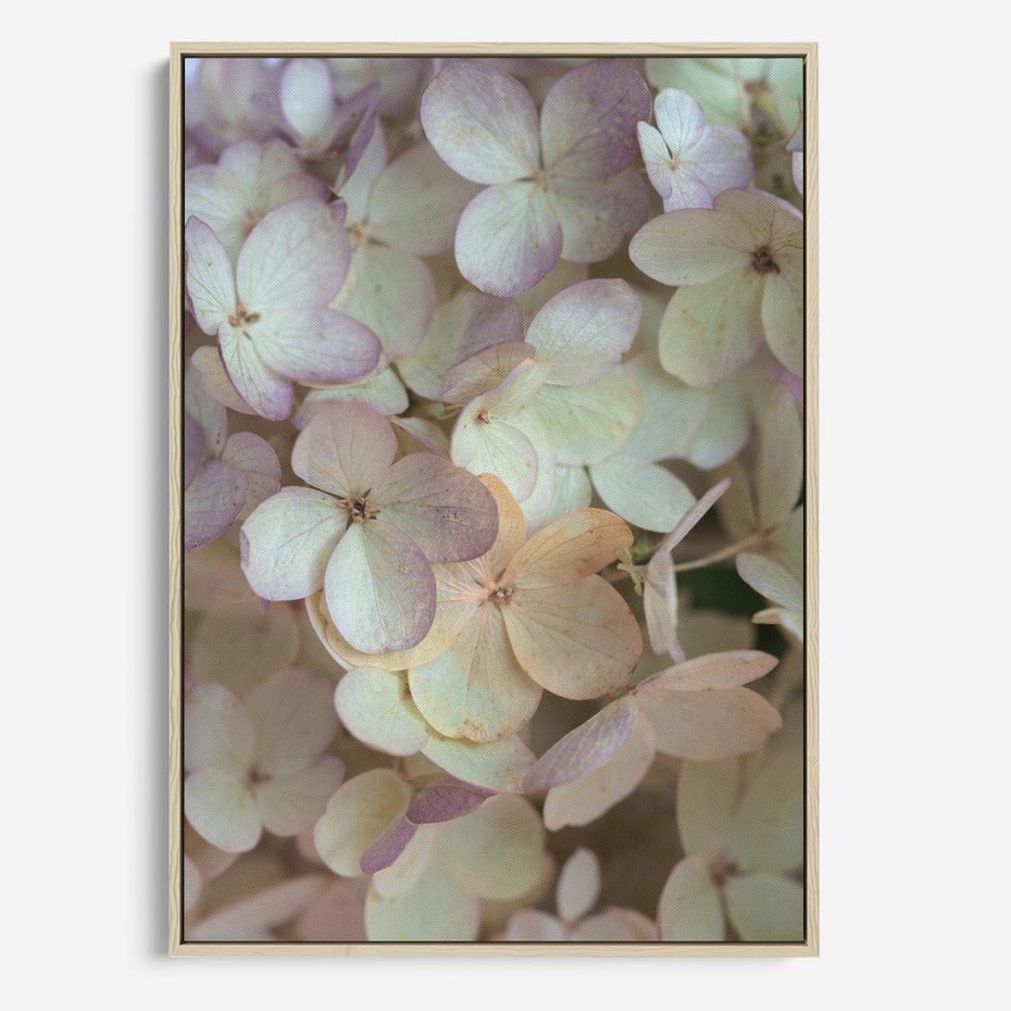Obraz w ramie 50x70 - Kwiatowy taniec - kwiaty, hortensje - rama drewno