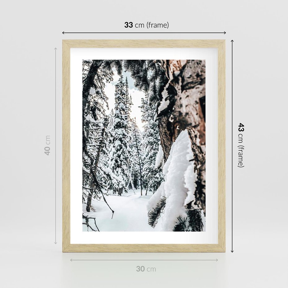 Plakat w ramie 30x40 - Drzewa pod Śniegiem - zima las, drzewa pod śniegiem - rama drewno