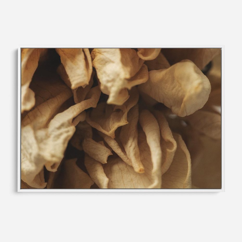 Obraz w ramie 70x50 - Zjawiskowe zasuszone kwiaty - zasuszone, kwiaty - rama biała