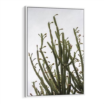 Obraz w ramie 50x70 - Ekskluzywna Roślinność - kaktusy, liście - rama biała