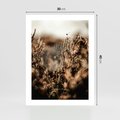 Plakat bez ramy 30x40 - Jesienny Mikrokosmos - suchetrawy, jesienny klimat