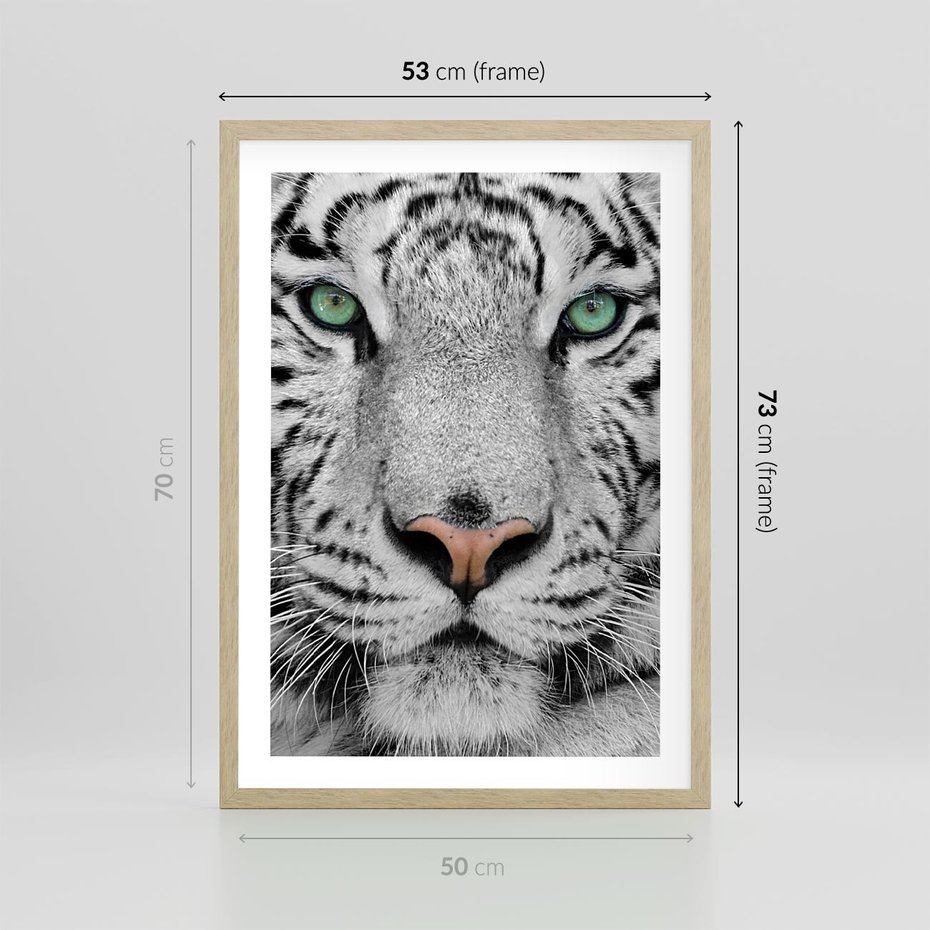 Plakat w ramie 50x70 - Magia Białego Tygrysa - biały, tygrys - rama drewno