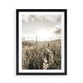 Plakat w ramie 50x70 - Łąka w Klimacie Sepii - suche trawy, łąka - rama czarna