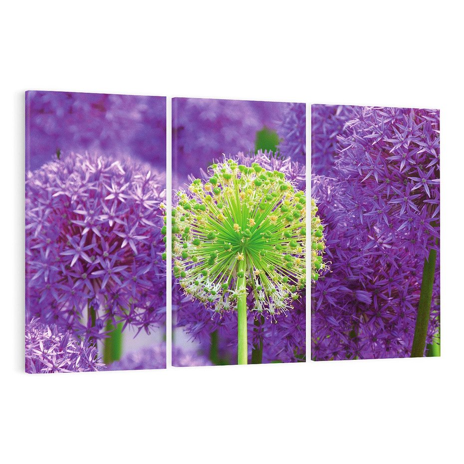 Obraz na płótnie 120x80 - Kwiatowy Raj - kwiat, kwiaty