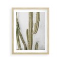 Plakat w ramie 40x50 - Kaktus w Stylu Boho - kaktus, roślina tropikalna - rama drewno
