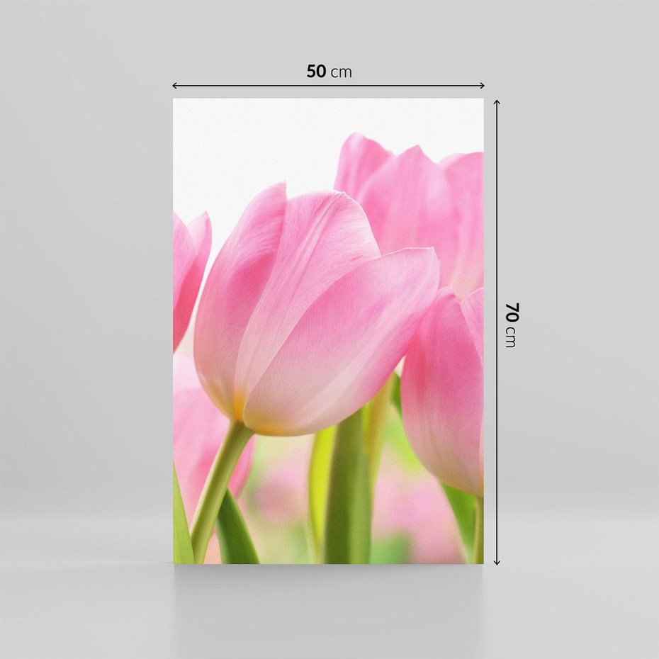 Obraz na płótnie 50x70 - Kwiaty w pełnym rozkwicie - kwiat, Kwiaty