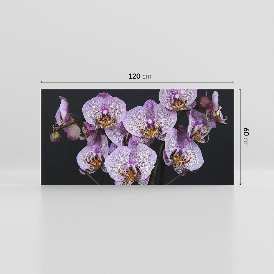 Obraz na płótnie 120x60 - Kwiatowy zachwyt pełen kolorów - kwiat, kwiaty