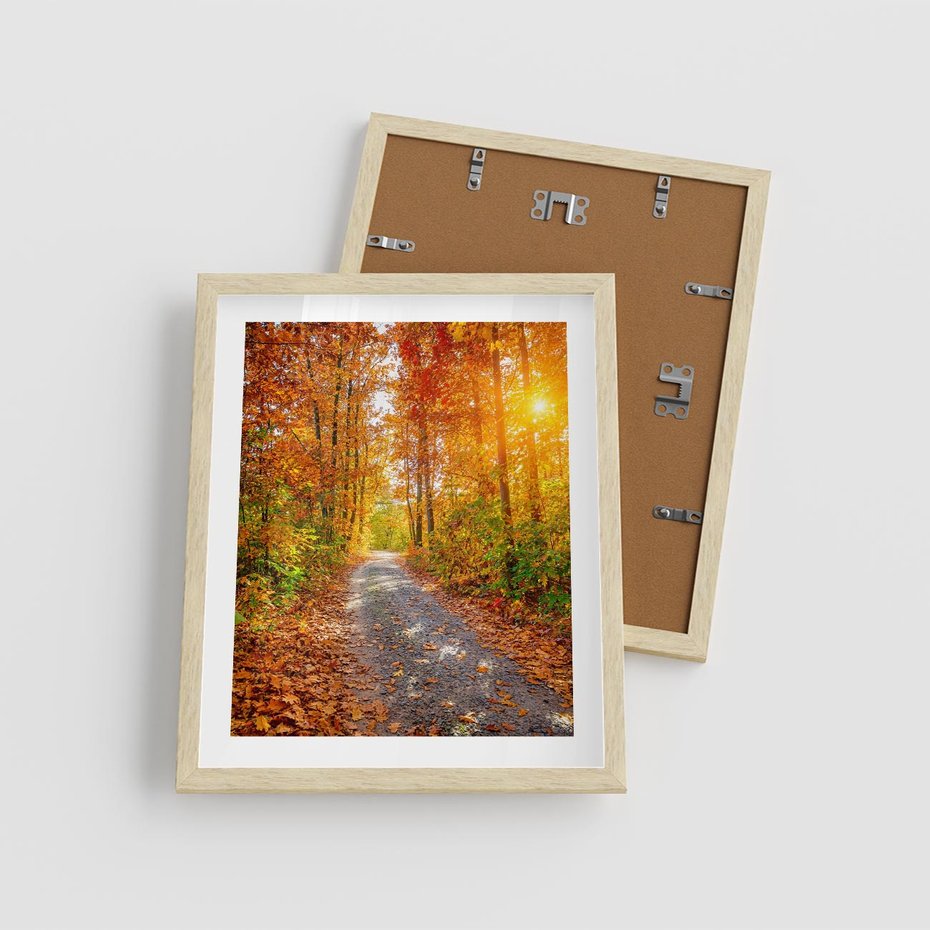 Plakat w ramie 40x50 - Kolorowe drzewa na ścieżce jesieni - las, jesień - rama drewno