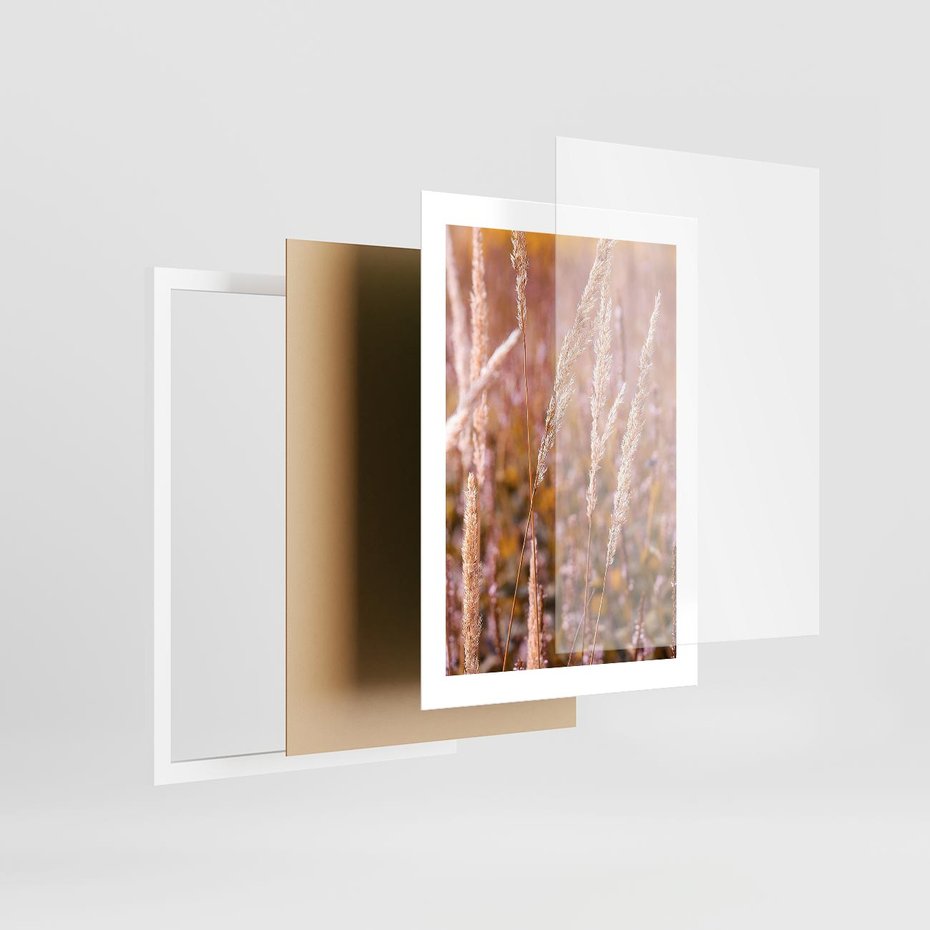 Plakat w ramie 30x40 - Sucha Trawa w Sierpniu - trawy, łąka - rama biała