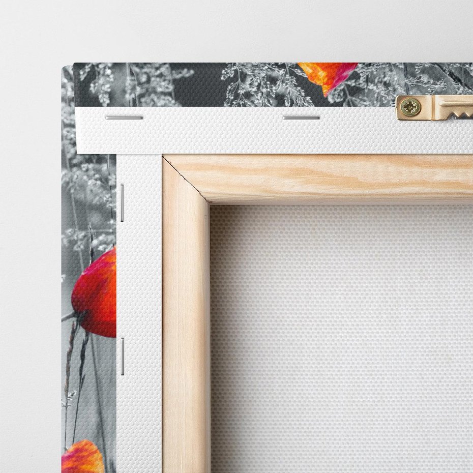 Obraz na płótnie 100x70 - Malownicza łąka - maki, mak